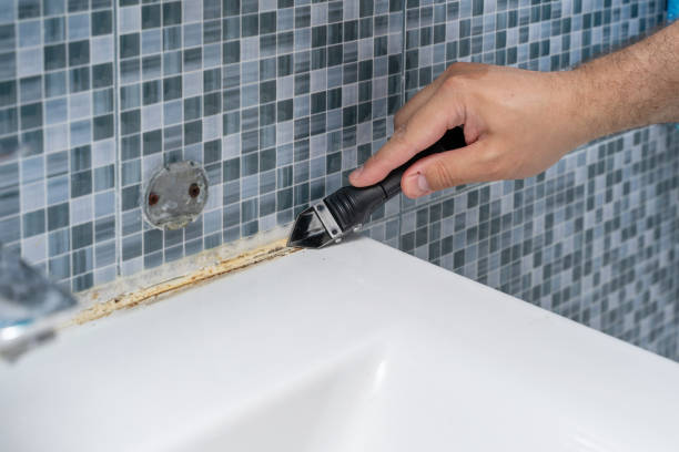 Best Insurance-Related Mold Remediation in Antioch, CA